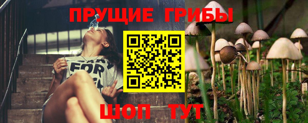 Кинель  Галлюциногенные грибы Cubensis  Галлюциногенные грибы GOLDEN TEACHER  закладка  Вход с VPN 